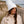 Kiara - Faux Fur Trim Beanie Hat